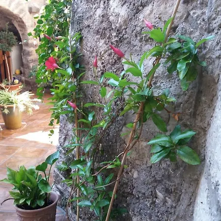 Bed & Breakfast Del Duca Faicchio