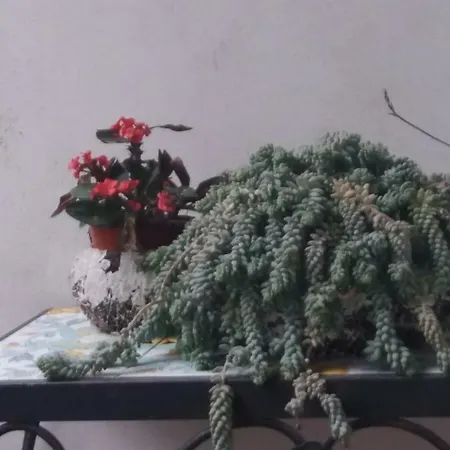 Bed & Breakfast Del Duca Faicchio